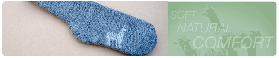 Frog Creek Socks Banner